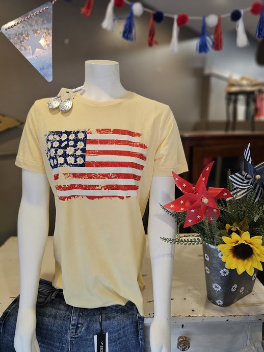 USA Flag Graphic Mineral Wash Short Slv T Shirt
