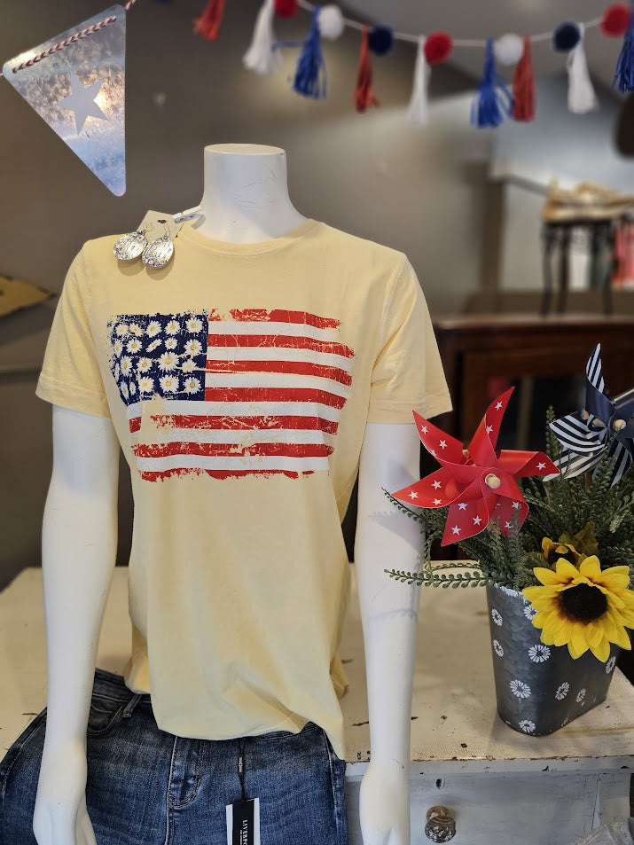 USA Flag Graphic Mineral Wash Short Slv T Shirt
